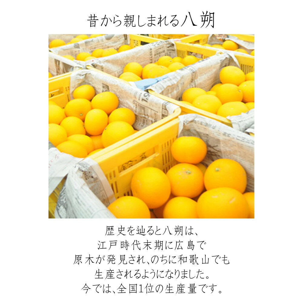 【ふるさと納税】【選べる容量】訳あり はっさく 八朔 ハッサク わけあり 6～10kg箱 大小混合サイズ｜海南市産 まごころ産直みかん 木成り 完熟はっさく 柑橘 みかん フルーツ 和歌山みかん 国産 産地直送 甘酸っぱくて爽やか！ サムネイル2