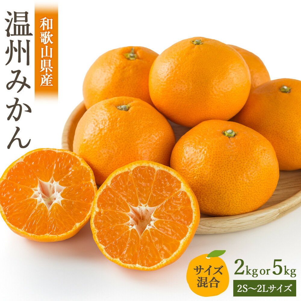 ［選べる容量］［先行予約］訳あり 温州みかん 2kg or 5kg 2S～2Lサイズ混合［2025年11月上旬頃から順次発送予定］ | みかん 蜜柑 フルーツ 果物 くだもの 食品 人気 おすすめ 送料無料 産地直送