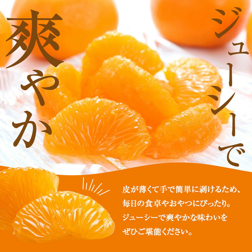 【ふるさと納税】［選べる容量］［先行予約］訳あり 温州みかん 2kg or 5kg 2S～2Lサイズ混合［2025年11月上旬頃から順次発送予定］ | みかん 蜜柑 フルーツ 果物 くだもの 食品 人気 おすすめ 送料無料 産地直送 サムネイル3