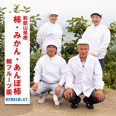 【ふるさと納税】柳フルーツ園の「紀州手作り　あんぽ柿」30個入り【配送不可地域：離島】【1077178】 サムネイル3