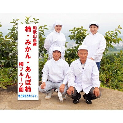 【ふるさと納税】柳フルーツ園の「紀州手作り　あんぽ柿」24個入り_ 柿 あんぽ柿 果物 フルーツ くだもの ふるーつ 青果 国産 和歌山 かき 人気 送料無料 産地直送 甘い 手作り デザート 産直 秋の味覚 旬 カキ 冷蔵 【配送不可地域：離島】【1077179】 サムネイル3