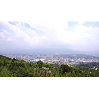 【ふるさと納税】国城観光農園のたねなし柿12個入り(2Lサイズ)【配送不可地域：北海道・沖縄県】【1110573】 サムネイル2