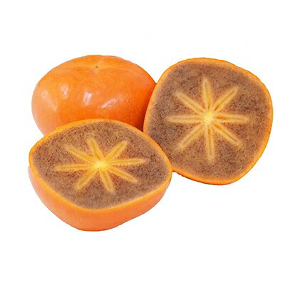 国城観光農園の紀の川柿9個入り(2L～3Lサイズ)【配送不可地域：北海道・沖縄県】【1110575】