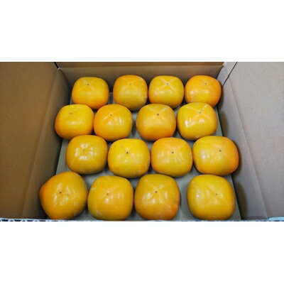 国城観光農園のたねなし柿28～36個入(L～3Lサイズ)【1151747】