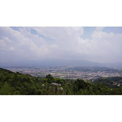 【ふるさと納税】国城観光農園のたねなし柿28～36個入(L～3Lサイズ)【1151747】 サムネイル3