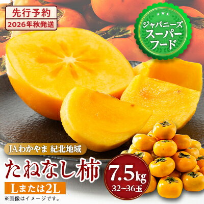 【令和8年度】柿カテゴリ上位獲得!　JAわかやま(紀北地域)のたねなし柿　7.5kg　L又は2L_ 柿 たねなし柿 果物 フルーツ くだもの ふるーつ 青果 国産 和歌山 かき 種無し 種なし 人気 送料無料 産地直送 甘い 贈答 ギフト プレゼント 【1237822】