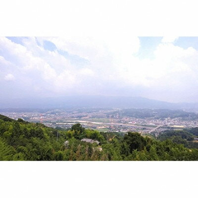 【ふるさと納税】国城観光農園のたねなし柿9個入り(3Lサイズ)【1281559】 サムネイル2