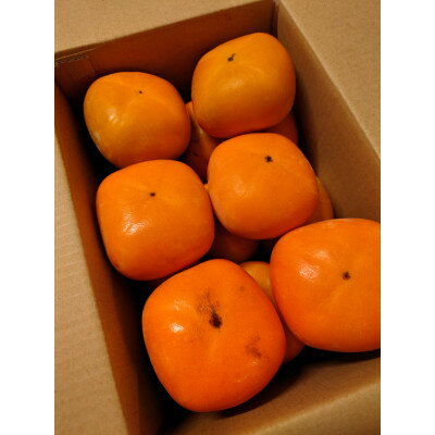 【ふるさと納税】たねなし柿(訳あり品)12～15個入り【1393923】 サムネイル2