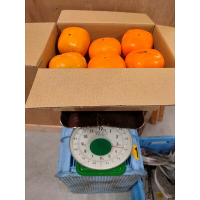 【ふるさと納税】たねなし柿(訳あり品)12～15個入り【1393923】 サムネイル3