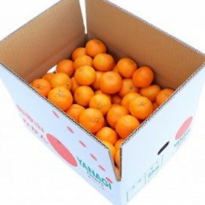 【ふるさと納税】柳フルーツ園の訳ありみかん 5kg【1456570】 サムネイル2