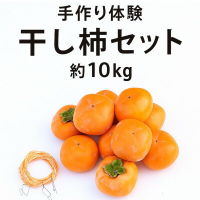 柳フルーツ園の干し柿セット 約10kg【2025年秋冬配送】【1457279】