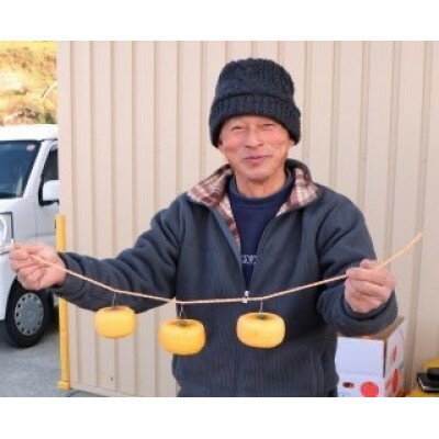 【ふるさと納税】柳フルーツ園の干し柿セット 約10kg【2025年秋冬配送】【1457279】 サムネイル3