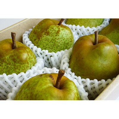 【ふるさと納税】紀州育ちのラ・フランス 1.8kg入り【配送不可地域：離島・北海道・沖縄県】【1497396】 サムネイル3