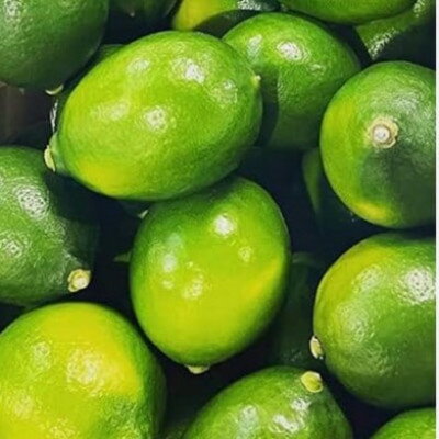 【ふるさと納税】アトランティスファームの国産レモン 約3kg+300g (11月より順次発送予定)【1514143】 サムネイル2