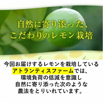 【ふるさと納税】アトランティスファームの国産レモン 約3kg+300g (11月より順次発送予定)【1514143】 サムネイル3
