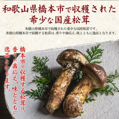 【ふるさと納税】国産　天然高野松茸　約200g 2026年出荷【配送不可地域：離島・北海道・沖縄県】【1601023】 - 画像3