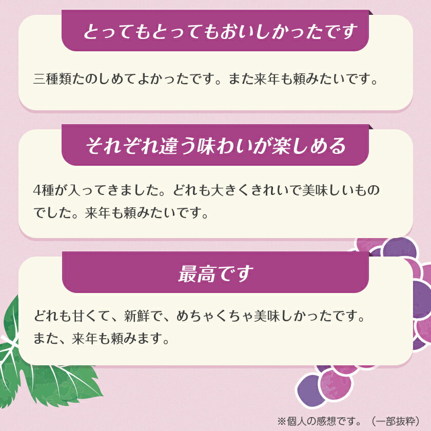 【ふるさと納税】【2026年・発送】朝どり完熟ぶどうの詰め合わせ_ 品種おまかせ 旬の葡萄 詰め合わせ ぶどう 種なし 朝どり 完熟 完熟ぶどう 果物 フルーツ 和歌山県 橋本市 人気 おすすめ 送料無料 プレゼント 贈答 ギフト 【配送不可地域：離島・沖縄県】【1017700】 - 画像3
