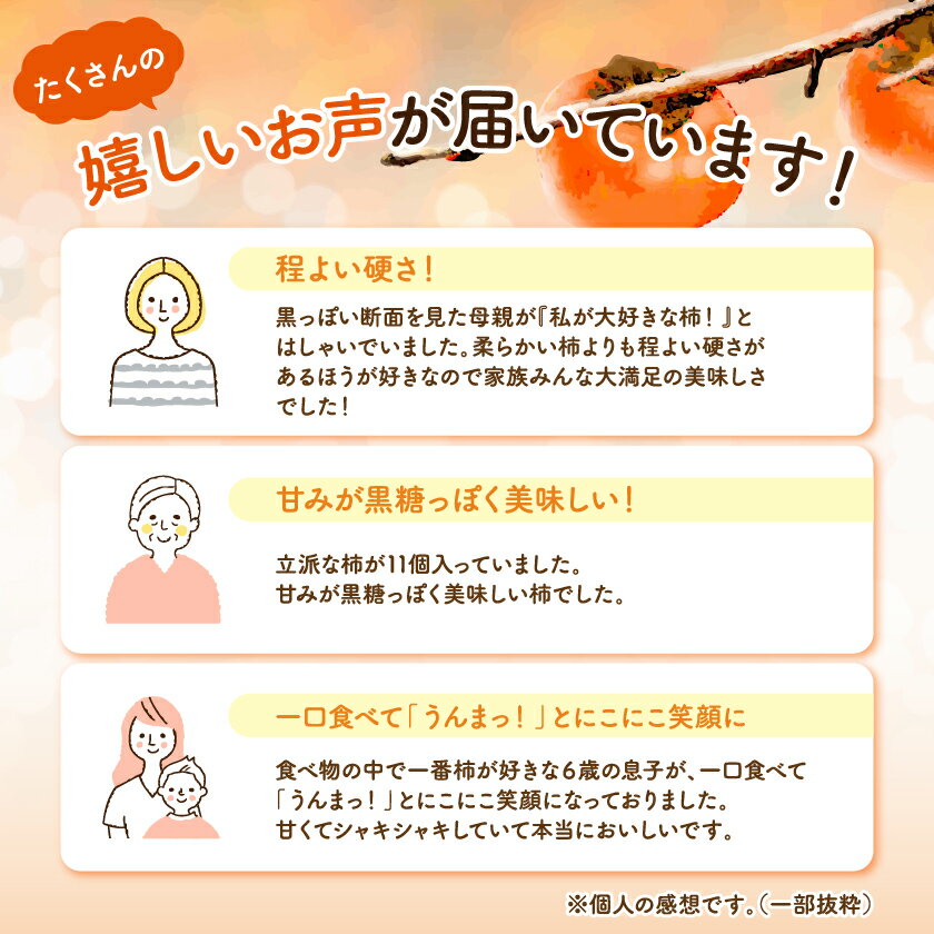 【ふるさと納税】国城観光農園の紀の川柿11～12個(2L～3Lサイズ)_ 果物 くだもの フルーツ 柿 かき 和歌山 人気 送料無料 【1077105】 サムネイル2