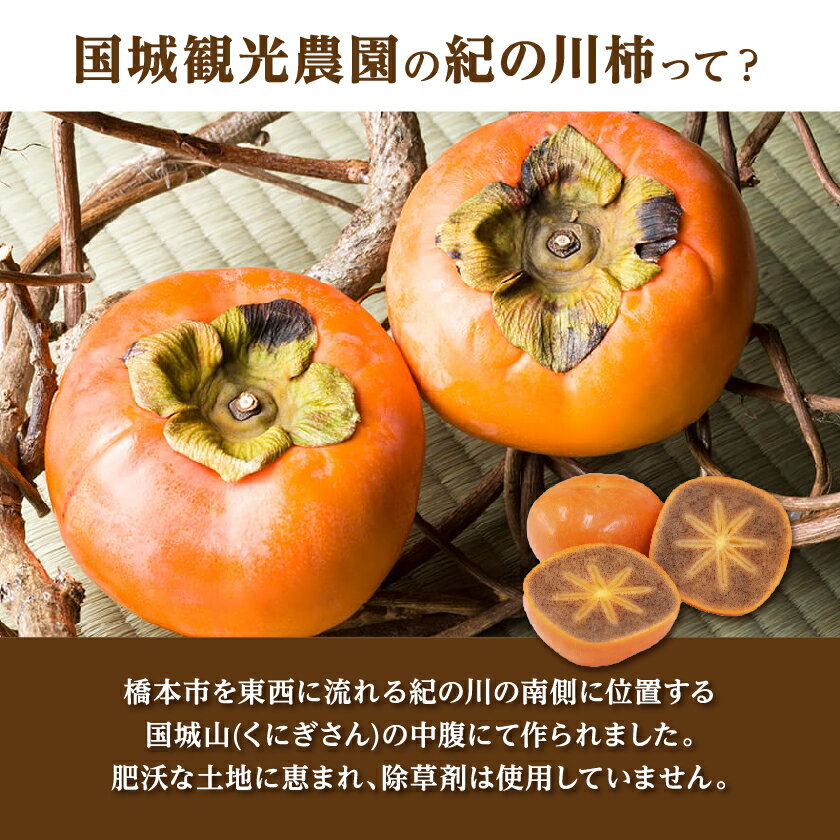 【ふるさと納税】国城観光農園の紀の川柿11～12個(2L～3Lサイズ)_ 果物 くだもの フルーツ 柿 かき 和歌山 人気 送料無料 【1077105】 サムネイル3