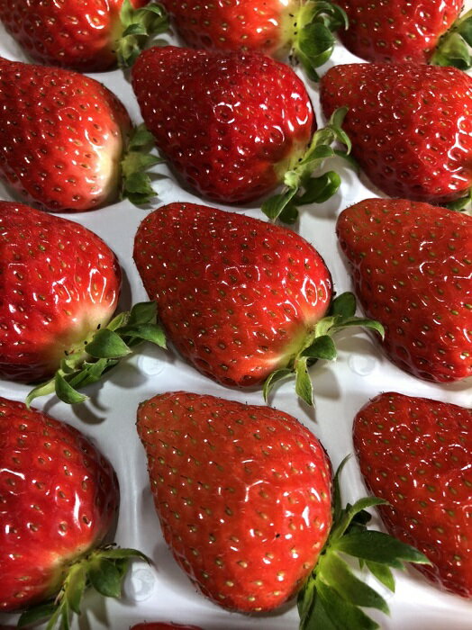 【ふるさと納税】特選 大粒いちご「まりひめ」2箱（A154-2） サムネイル2