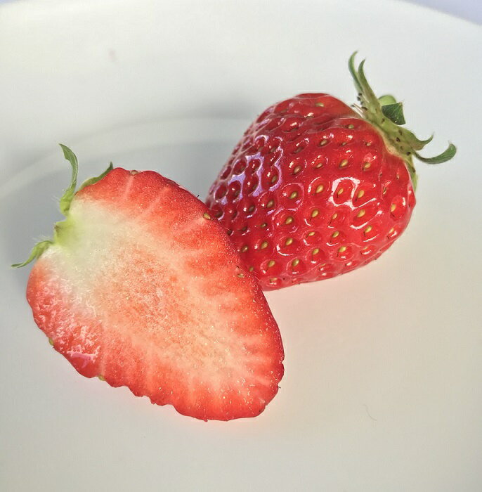 【ふるさと納税】季節限定 まりひめプレミアムいちご「毬姫様」（A155-2） サムネイル3