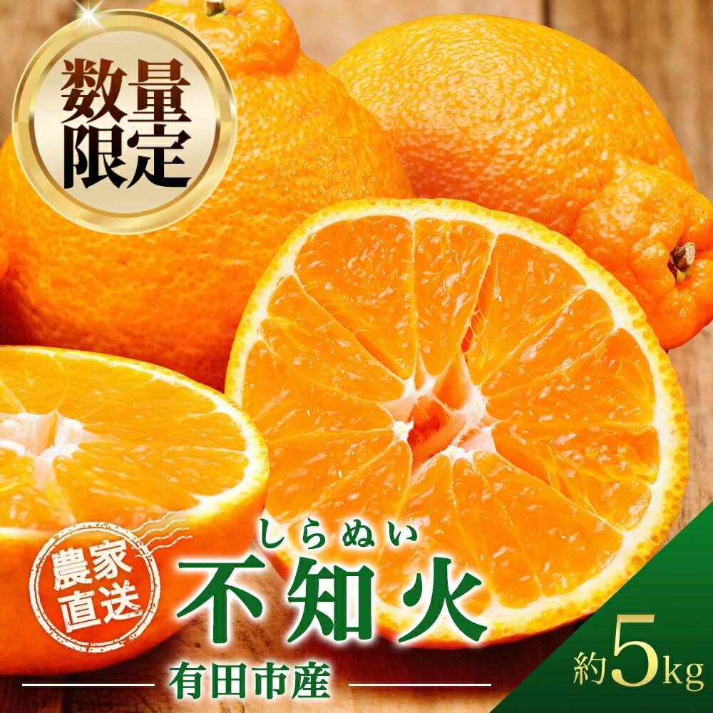 【先行予約受付中！】不知火 しらぬい 5kg デコポン 同品種 産地直送 5キロ 濃厚 甘い 柑橘 フルーツ 果物 くだもの みかん 人気 おすすめ レビュー高評価 ギフト 贈答 お取り寄せ 送料無料 国産 和歌山 有田市【2026年2月中旬より順次発送】（A68-1）