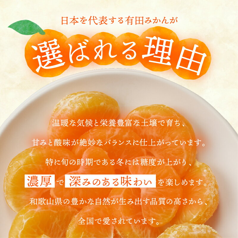 【ふるさと納税】 有田みかん「未来への虹」 5kg 10kg 本場 有田産 温州みかん 甘い 濃厚 送料無料 産地直送 ジューシー フルーツ 果物 ギフト 贈答用 家庭用 高評価 訳あり でない 和歌山県有田市　（A2-2） サムネイル3
