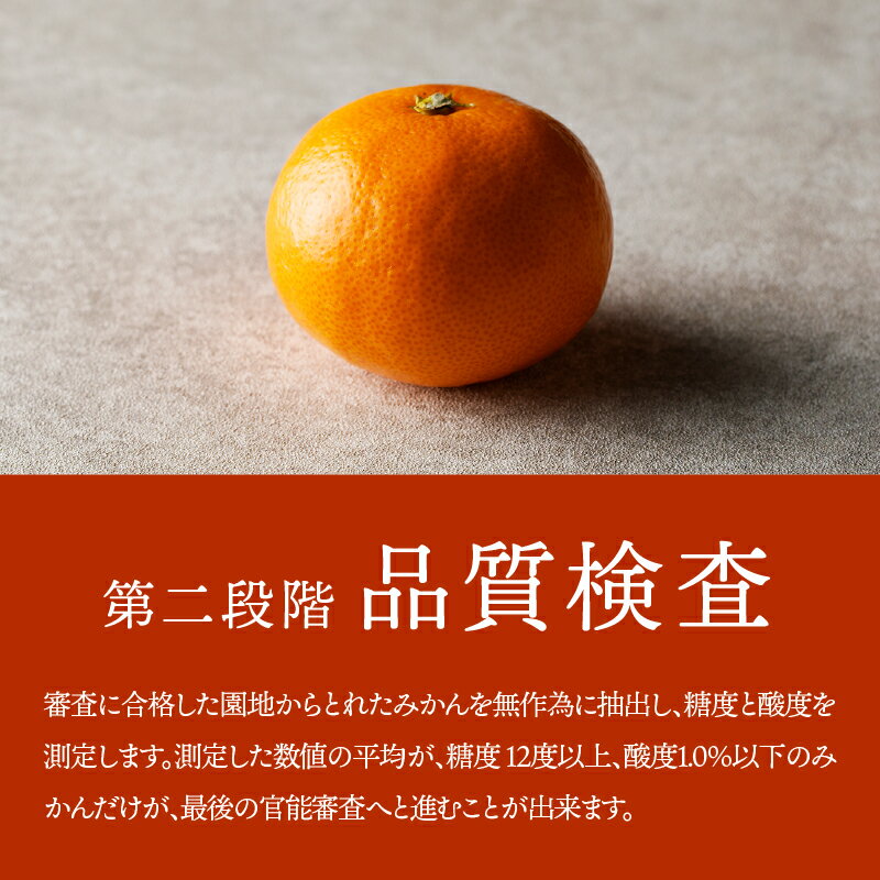 【ふるさと納税】 認定有田みかん「未来への虹 至宝」 日本初自治体認定 フルーツ 送料無料 産地直送 甘い 濃厚 コク 本場 和歌山 ブランド柑橘 果物 フルーツ ギフト 贈答用 家庭用 和歌山県有田市 (A1-2) サムネイル3