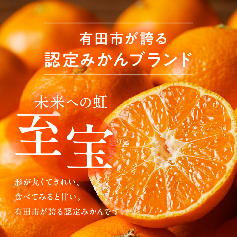 認定有田みかん「未来への虹 至宝」 日本初自治体認定 フルーツ 送料無料 産地直送 甘い 濃厚 コク 本場 和歌山 ブランド柑橘 果物 フルーツ ギフト 贈答用 家庭用 和歌山県有田市 (A1-2)
