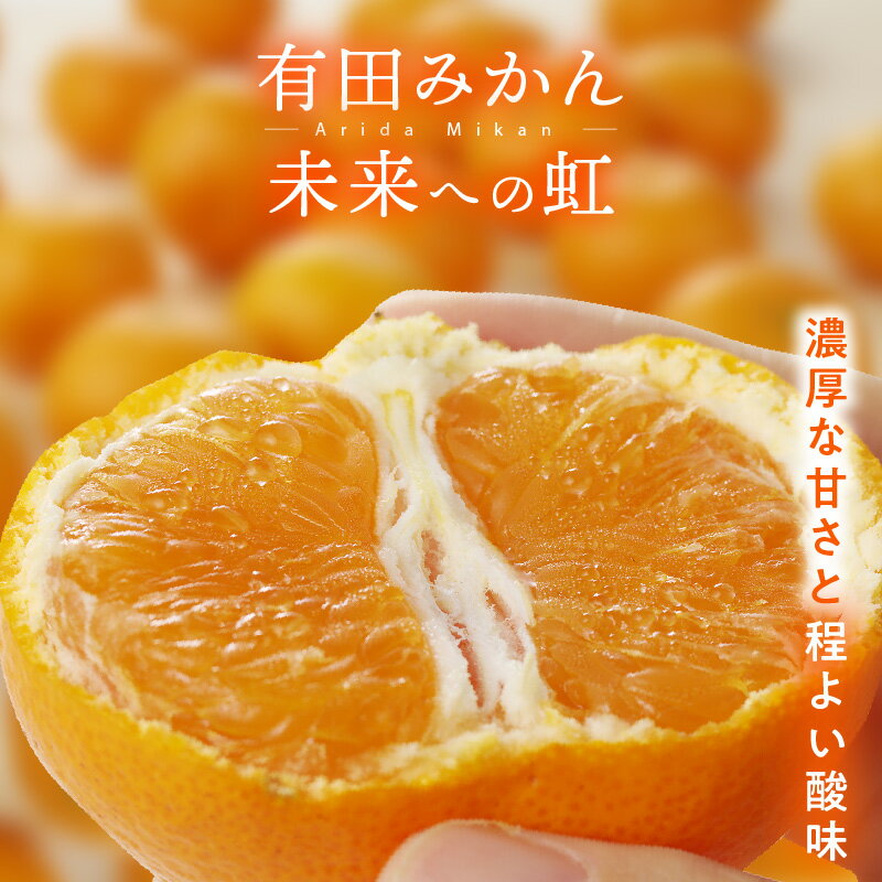 有田みかん「未来への虹」 5kgまたは10kg（A2-2）みかん ミカン mikan 有田 有田市 ありだ 和歌山 送料無料 産地直送 フルーツ 果物 てんこ盛り てんこもり 本場 甘い 濃厚 ジューシー 2S SS S M L ふるさと納税 ふるさと 応援 寄附 先行予約
