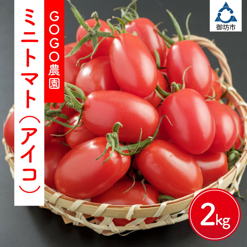 ミニトマト（アイコ2kg）≪先行予約2025年11月より順次発送予定≫