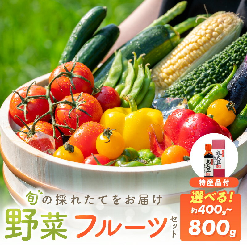 季節の野菜・果物・特産品お楽しみ詰め合わせセット 約400g 約800g