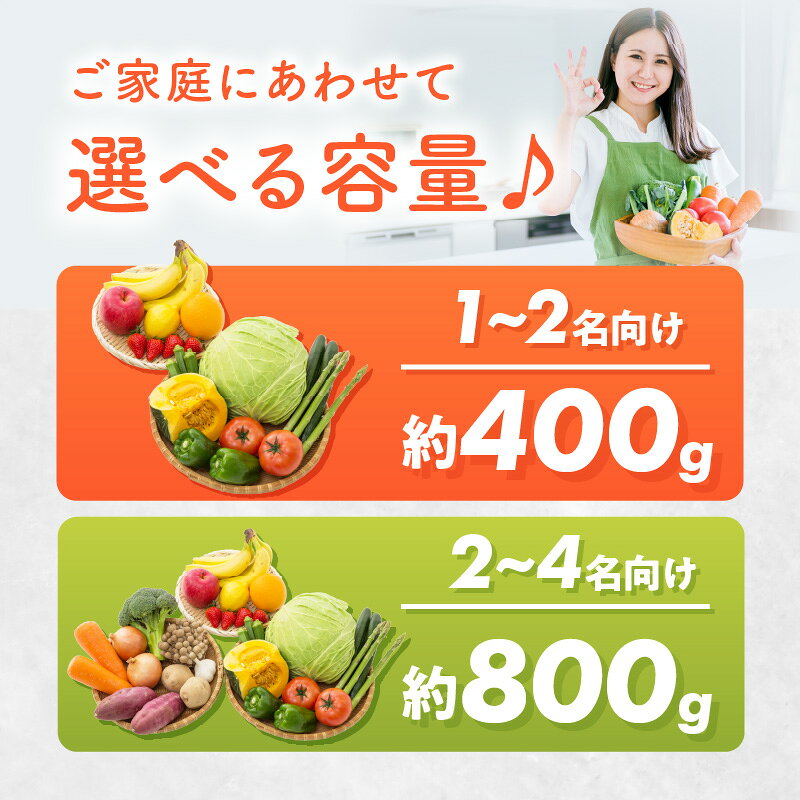 【ふるさと納税】季節の野菜・果物・特産品お楽しみ詰め合わせセット 約400g 約800g サムネイル3