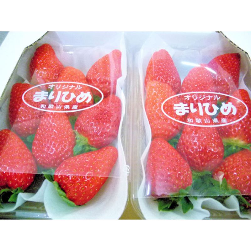 【ふるさと納税】和歌山生まれのイチゴ（まりひめ）《先行予約》大粒 2パック 3パック いちご 苺 果物 フルーツ 大粒 まりひめ 期間限定 先行予約 数量限定 サムネイル2