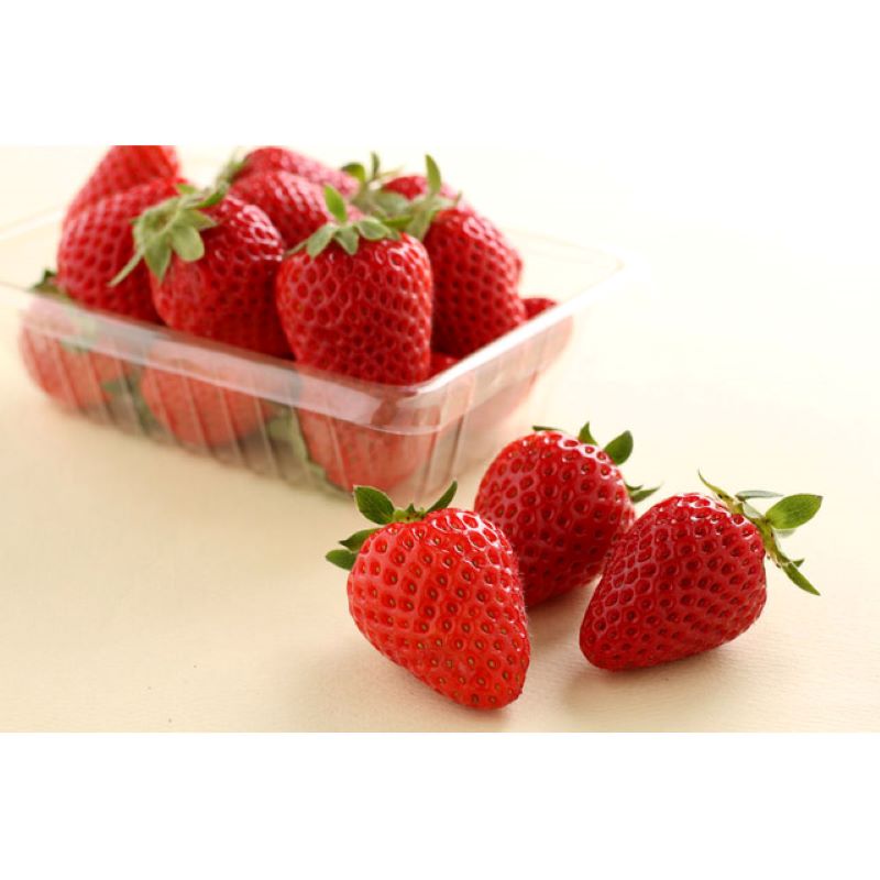 【ふるさと納税】和歌山生まれのイチゴ（まりひめ）《先行予約》大粒 2パック 3パック いちご 苺 果物 フルーツ 大粒 まりひめ 期間限定 先行予約 数量限定 サムネイル3