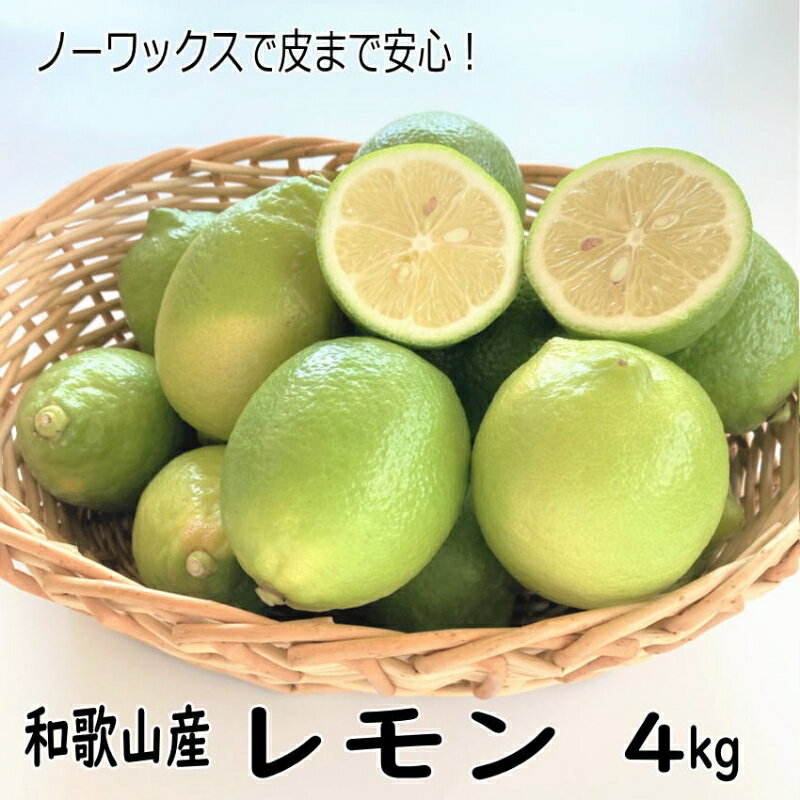 和歌山産レモン/グリーンレモン 4kg【国産レモン】《先行予約》