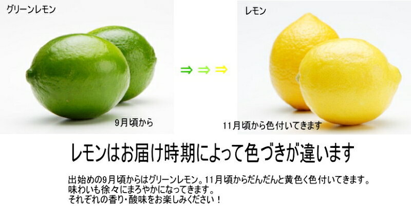 【ふるさと納税】和歌山産レモン/グリーンレモン 4kg【国産レモン】《先行予約》 サムネイル2
