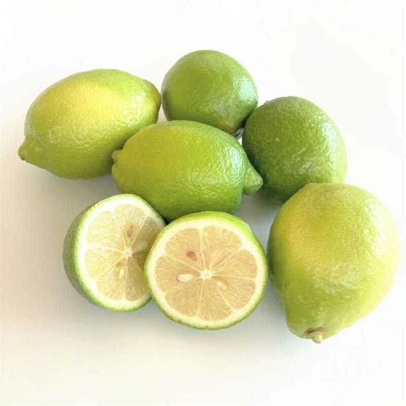 【ふるさと納税】和歌山産レモン/グリーンレモン 4kg【国産レモン】《先行予約》 サムネイル3