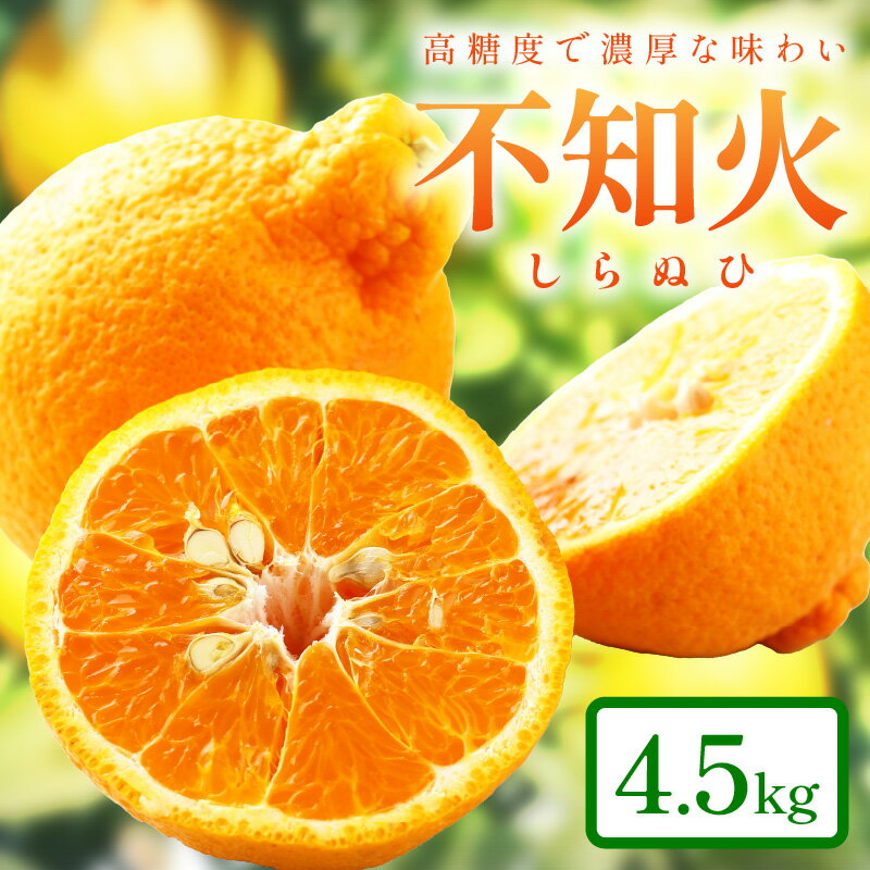 和歌山産 しらぬひ【デコポン】約4.5kg 濃厚春みかん≪2026年2月下旬頃より順次発送分≫