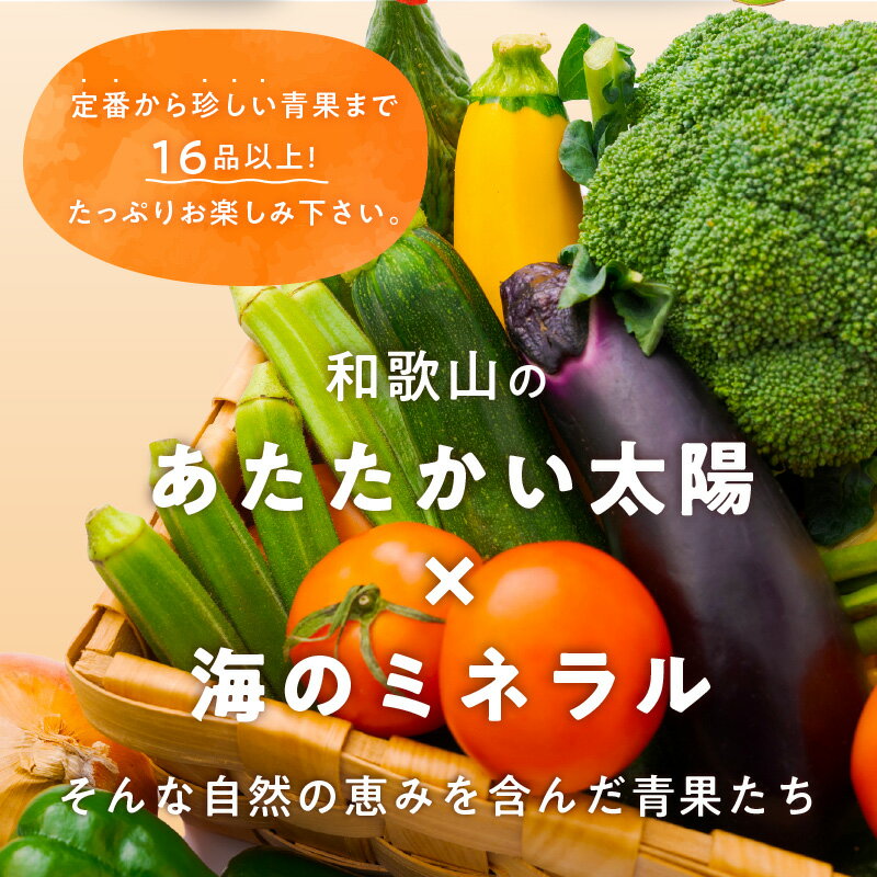 【ふるさと納税】旬の新鮮野菜・フルーツ詰め合わせ サムネイル3