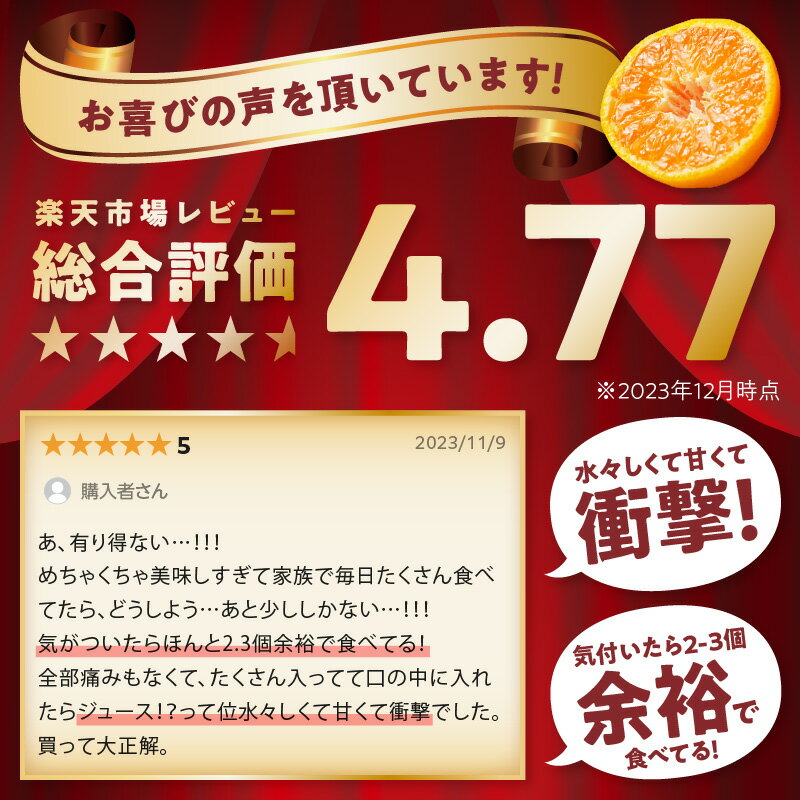 【ふるさと納税】「濃厚な味のとろける美味しさ」極早生みかん 完熟温州みかん《先行予約》約2.5kg 約5kg 約10kg 甘酸っぱいみかん ふるさと納税 みかん 予約 2025 ふるさと納税 みかん 甘い 和歌山 ミカン フルーツ 果物 くだもの 柑橘 人気 5キロ 10キロ 数量限定 期間限定 サムネイル2