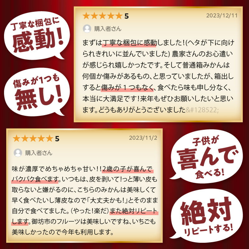 【ふるさと納税】「濃厚な味のとろける美味しさ」極早生みかん 完熟温州みかん《先行予約》約2.5kg 約5kg 約10kg 甘酸っぱいみかん ふるさと納税 みかん 予約 2025 ふるさと納税 みかん 甘い 和歌山 ミカン フルーツ 果物 くだもの 柑橘 人気 5キロ 10キロ 数量限定 期間限定 サムネイル3