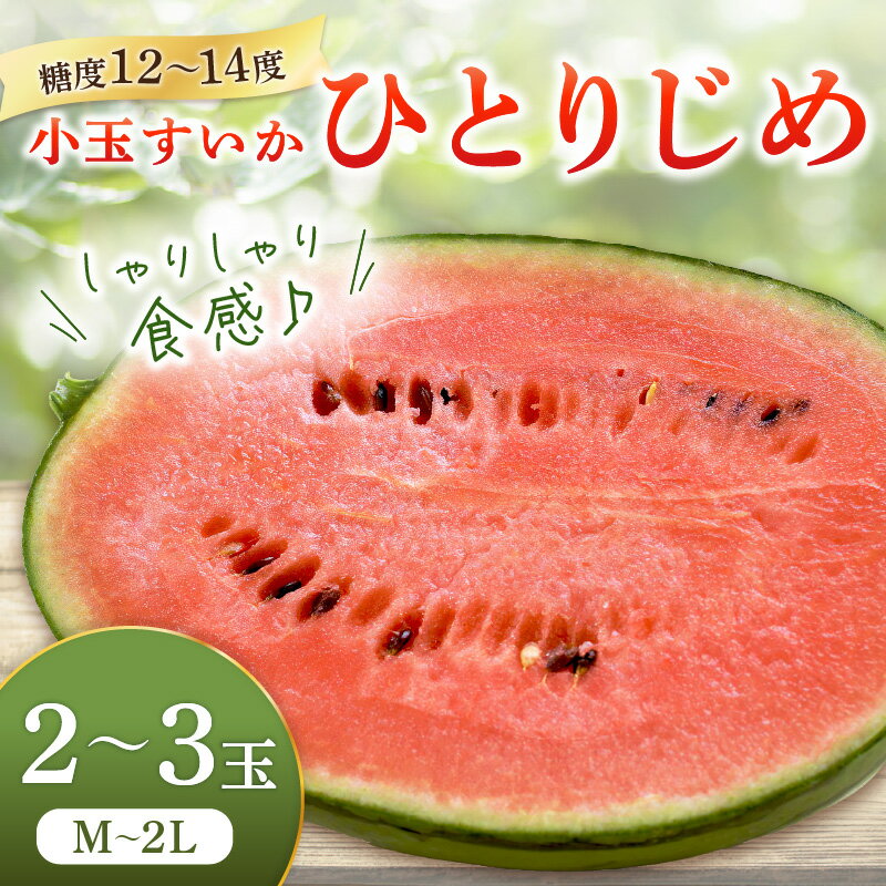 【ふるさと納税】《数量限定》小玉すいか(ひとりじめ)2～3玉 和歌山産《先行予約》【2026年6月上旬頃から順次発送予定】 ふるさと納税 すいか ふるさと納税 西瓜 ふるさと納税 スイカ フルーツ 果物 送料無料 小玉 スイカ サムネイル2