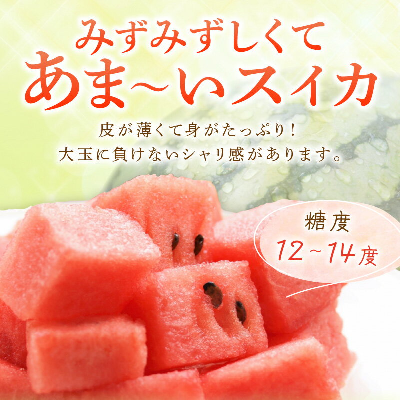 【ふるさと納税】《数量限定》小玉すいか(ひとりじめ)2～3玉 和歌山産《先行予約》【2026年6月上旬頃から順次発送予定】 ふるさと納税 すいか ふるさと納税 西瓜 ふるさと納税 スイカ フルーツ 果物 送料無料 小玉 スイカ サムネイル3