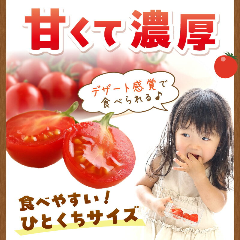 【ふるさと納税】ミニトマト キャロルセブン 2kg【和歌山産】《先行予約》 ふるさと納税 ミニトマト ふるさと納税 トマト 予約 先行予約 野菜 2キロ - 画像3