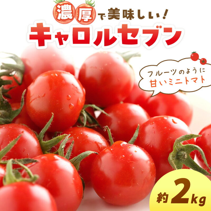 ミニトマト キャロルセブン 2kg【和歌山産】《先行予約》 ふるさと納税 ミニトマト ふるさと納税 トマト 予約 先行予約 野菜 2キロ