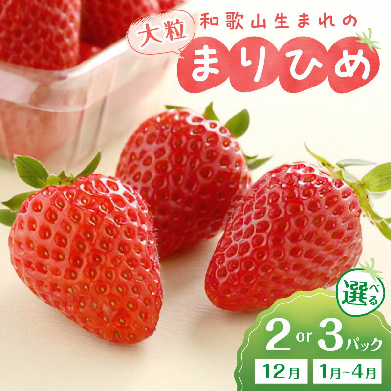 和歌山生まれのイチゴ（まりひめ）《先行予約》大粒 2パック 3パック いちご 苺 果物 フルーツ 大粒 まりひめ 期間限定 先行予約 数量限定