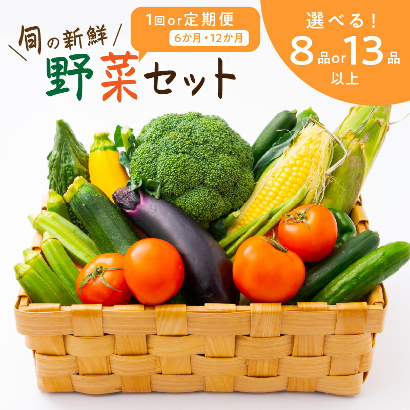 定期便 旬の新鮮野菜セット 8種以上 13種以上 1回 6回 12回 ふるさと納税 野菜 ふるさと納税 定期便 野菜 詰め合わせセット 旬の野菜 セット 定期 送料無料