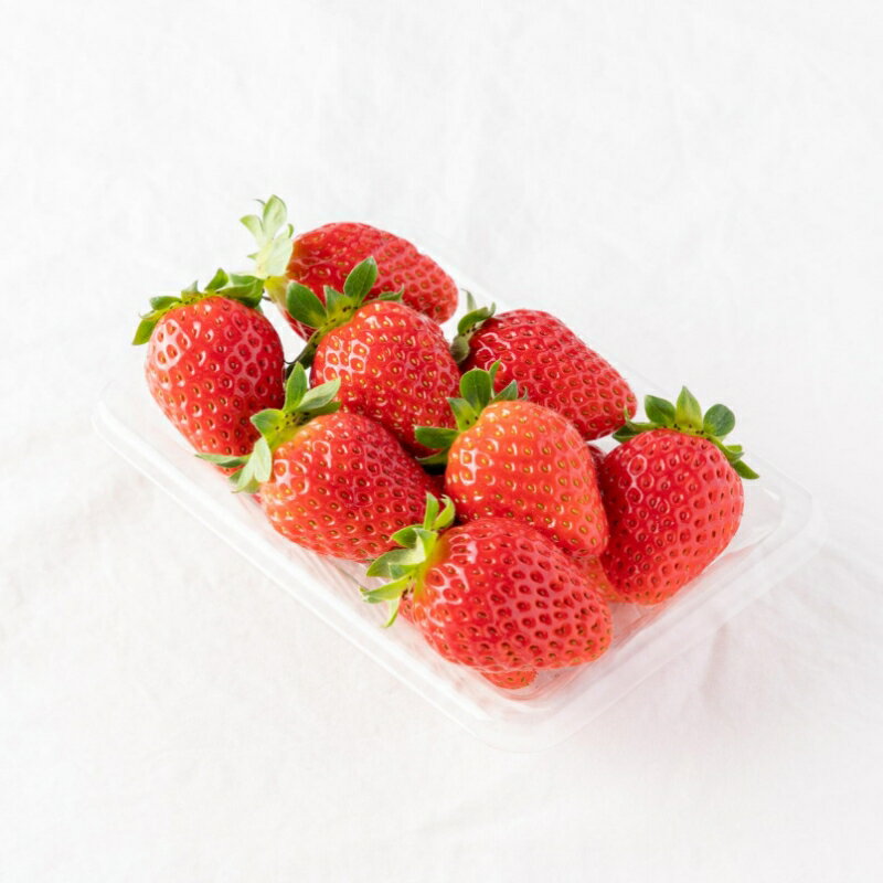 【ふるさと納税】「完熟×芳醇=まりひめ」4パック（約250g×4）≪先行予約≫2026年1月上旬より順次発送予定【配送不可地域：北海道・沖縄・離島】 いちご 苺 イチゴ フルーツ くだもの 果物 旬 パック 送料無料 数量限定 ふるさと納税 イチゴ 予約 先行予約 - 画像2