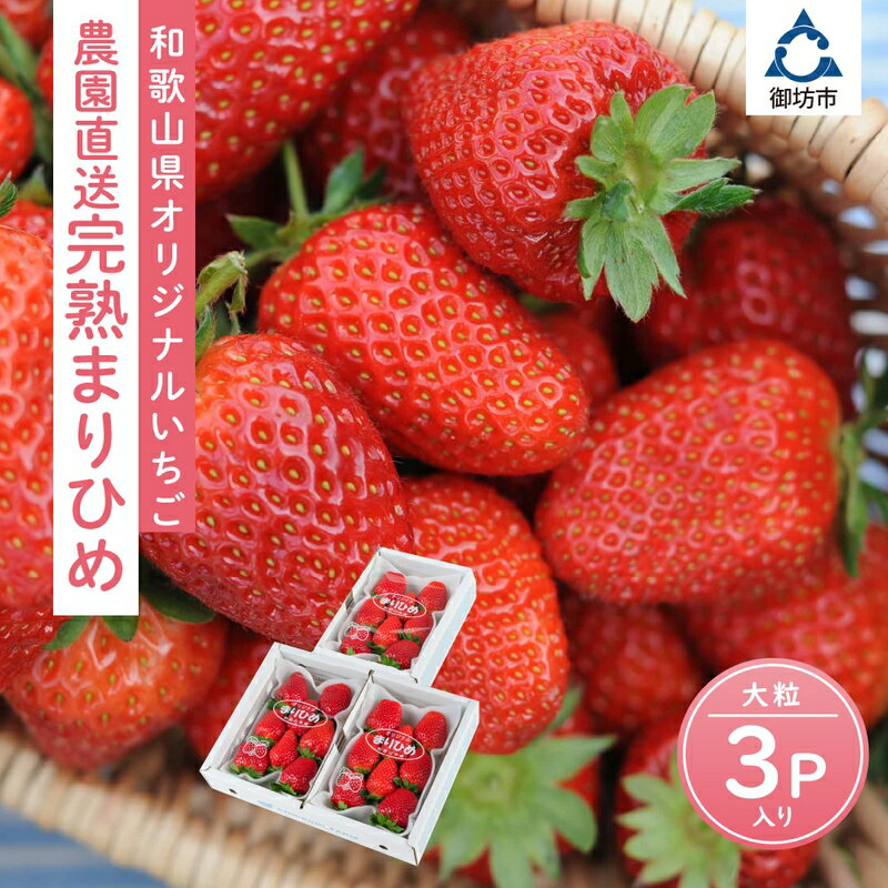 高評価 ☆自農園産 和歌山県オリジナルいちご『完熟まりひめ』大粒3パック《先行予約》2026年1月頃から順次発送【配送不可地域：北海道・青森・秋田・岩手・沖縄・離島】 ふるさと納税 いちご イチゴ 苺 大きい フルーツ 送料無料 数量限定